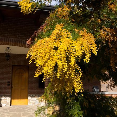 Villa Anna Монкалиери Екстериор снимка