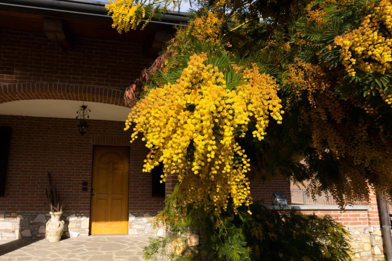 Villa Anna Монкалиери Екстериор снимка